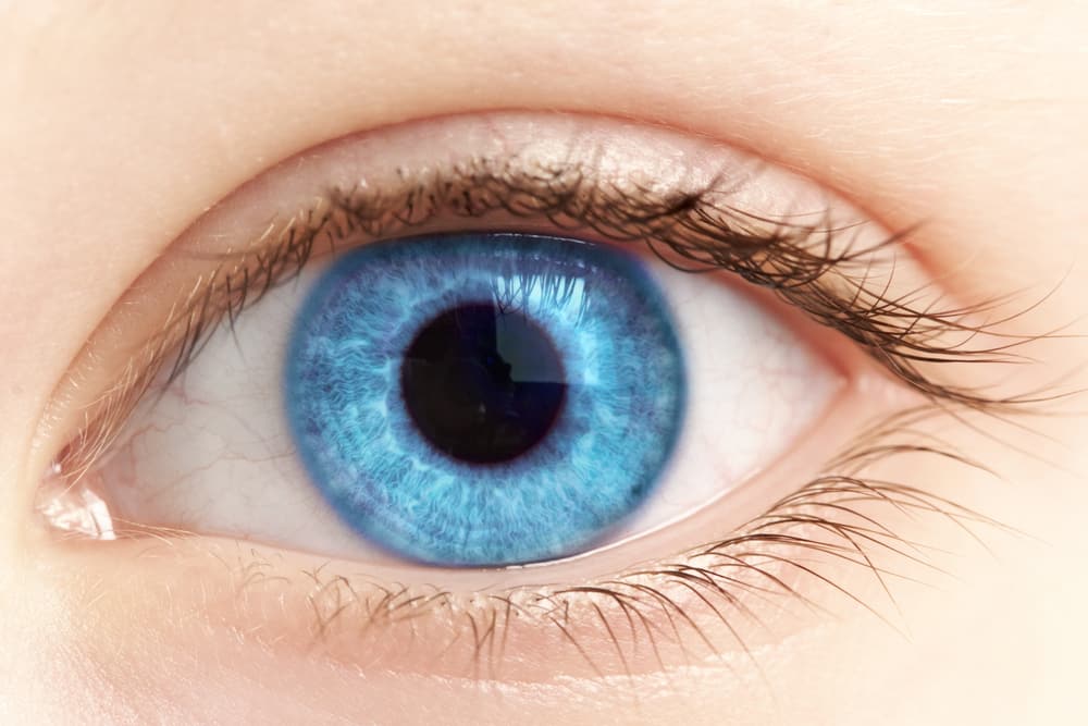 Eye Color Genetics Research - QPS Clinical Research